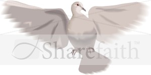 Elegant%20Landing%20Dove