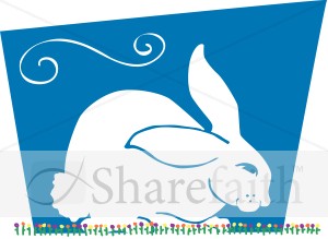 Cute Bunny rabbit