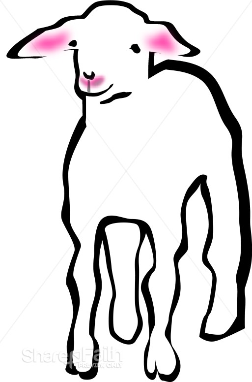 A Lamb