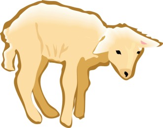 Standing%20Lamb