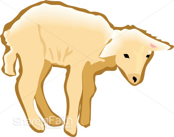 Standing Lamb