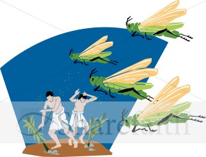 A%20Plague%20of%20Locusts