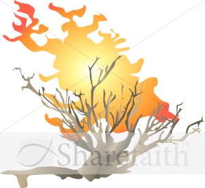 The Burning Bush of Mt. Sinai