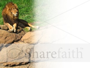 Lays Down with the Lion