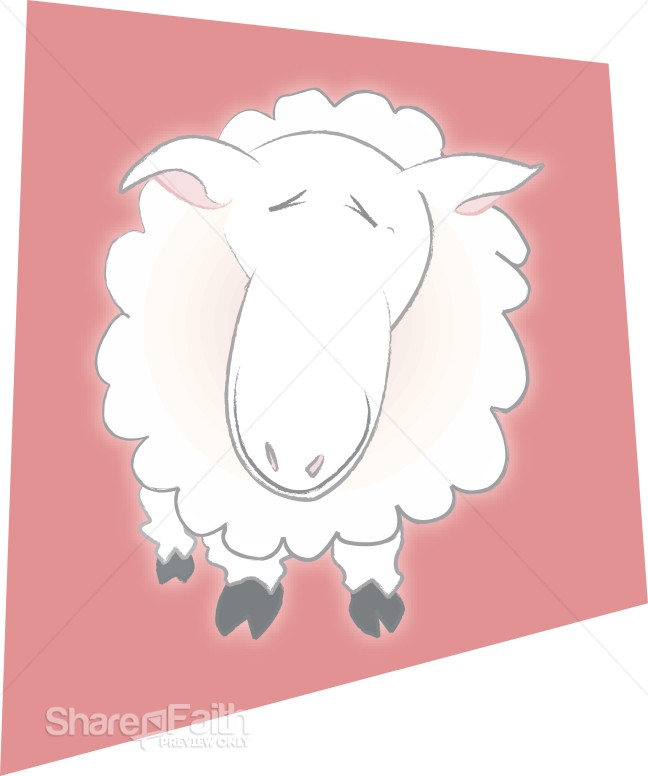A Happy Sheep
