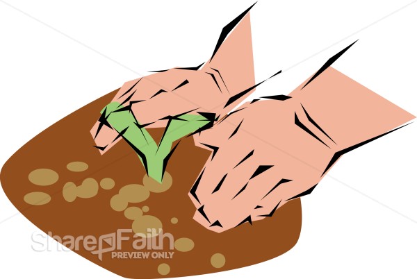 Planting%20a%20Seedling