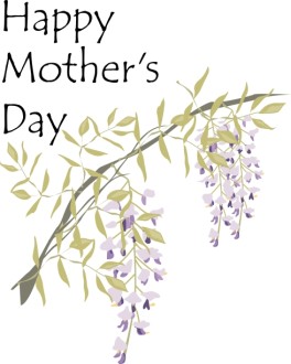 Happy Mother's Day Wisteria