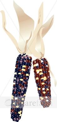 Colorful Indian Corn