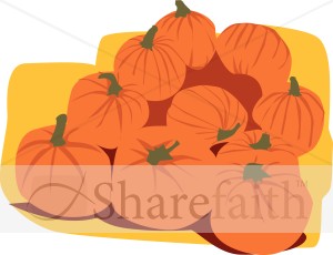 Pile of Harvested Pumpkins