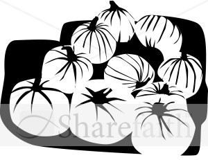 Black and whit Pupmkin Harvest