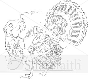 Detailed%20Turkey%20Line%20Drawing