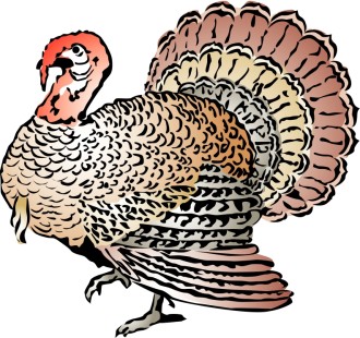 Woodcut%20Style%20Turkey%20with%20Color