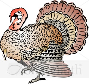 Woodcut%20Style%20Turkey%20with%20Color