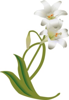 White%20Easter%20Lily%20Decoration