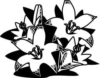 Woodcut%20Style%20Easter%20Lilies