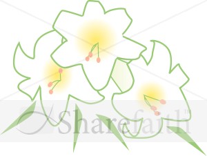Bouquet of White Lilies