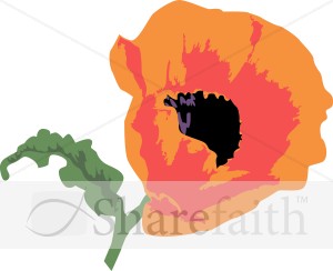 Golden Poppy Blossom