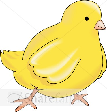 Yellow Chick
