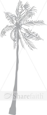 Basic Gray Palm Tree