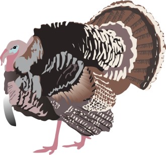 Detailed%20Turkey