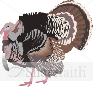 Detailed%20Turkey