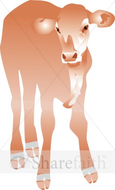 Nativity Stable Calf