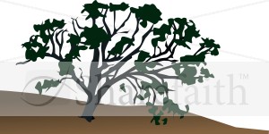 Old Tree on Hillside