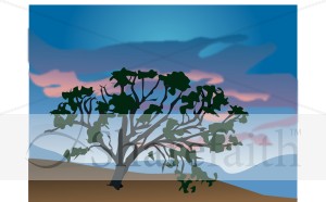 Old Tree On Hillside with Sky