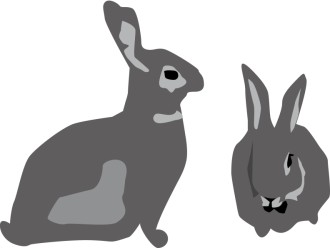 Two%20Gray%20Bunny%20Rabbits