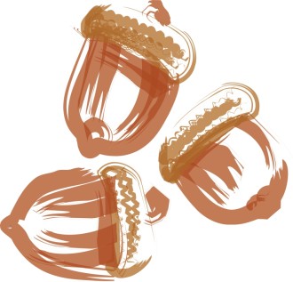 Three Acorns Brushstroke