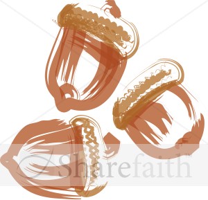 Three Acorns Brushstroke