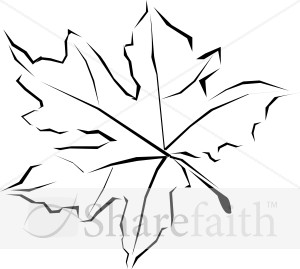 Line Art Fall Leaf