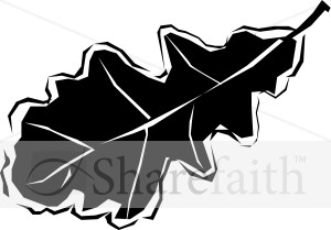 Black and White Oak Leaf