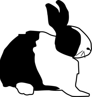 Black%20and%20White%20Rabbit