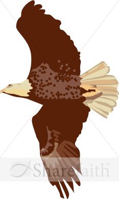 Soaring Eagle