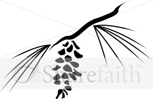 Pine Cone and needles Woodcut