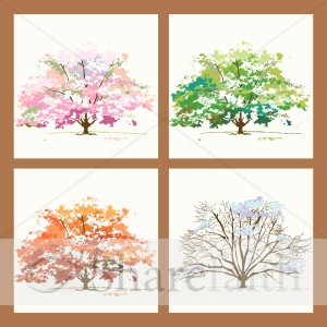 Four Seasons Trees in Frame