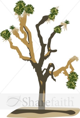 Joshua%20Tree