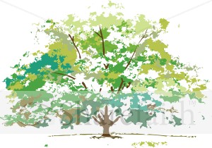 Summer%20Foliage%20Maple%20Tree