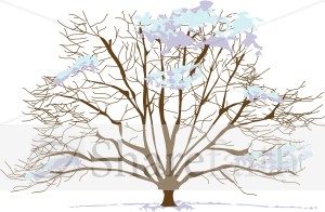 Snowy Winter Tree