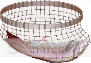 Fish%20in%20a%20simple%20Net