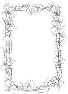 Thorns Page Frame