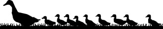 Mama%20Duck%20and%20Ducklings