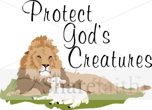 Protect God's Creatures Lion and Lamb