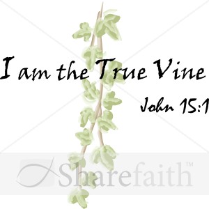 I am the True Vine Scripture 2   John 15:1