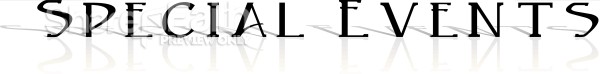 Formal Special Events with reflection