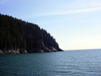 Coastal%20Forests