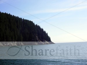 Coastal Forests