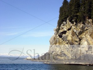 Sea Cliffs of the North