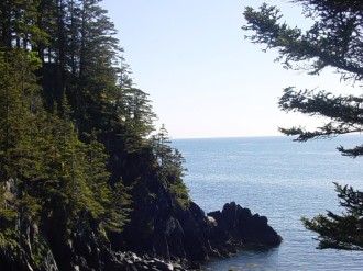 Forests%20of%20Kodiak%20Island